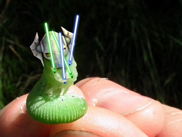 圖片來源：reddit