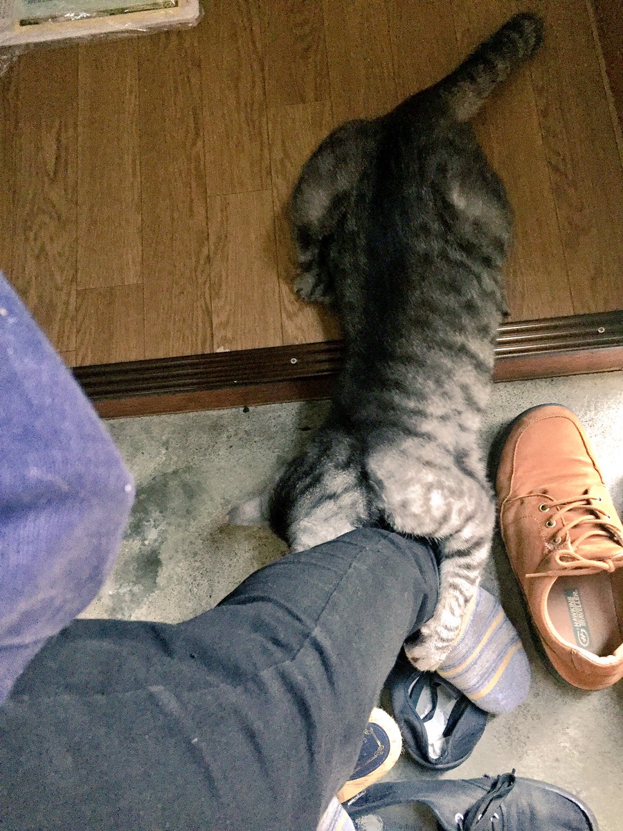 圖片來源：d1d2c3／twitter