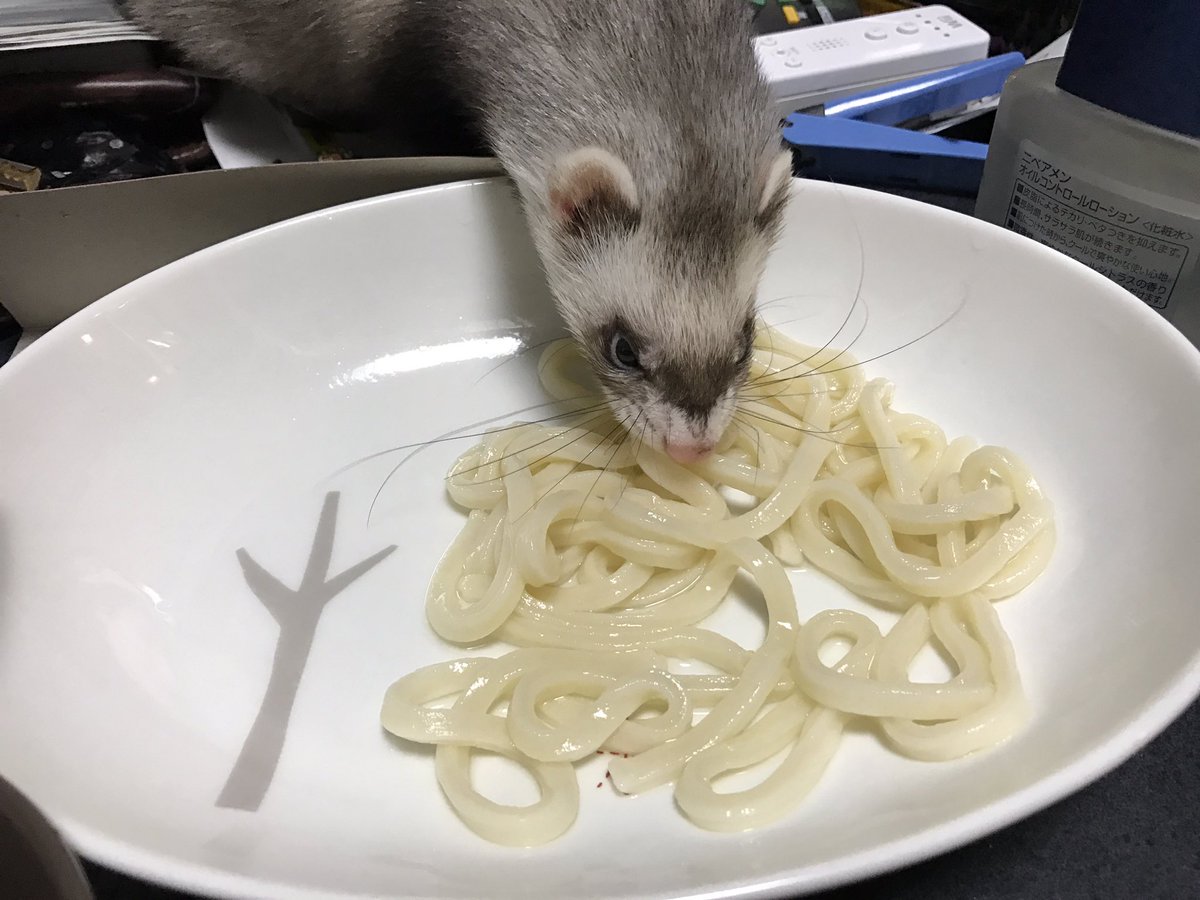 圖片來源： IjrNemu／twitter