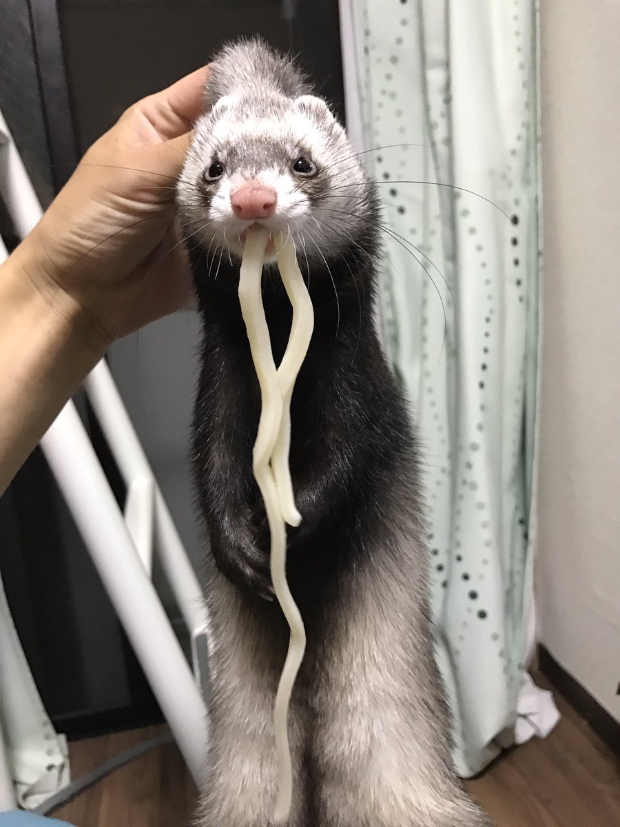 圖片來源： IjrNemu／twitter