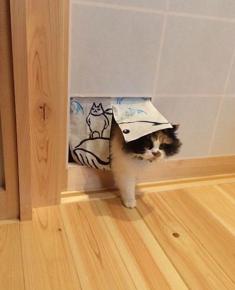 圖片來源: nekomemo