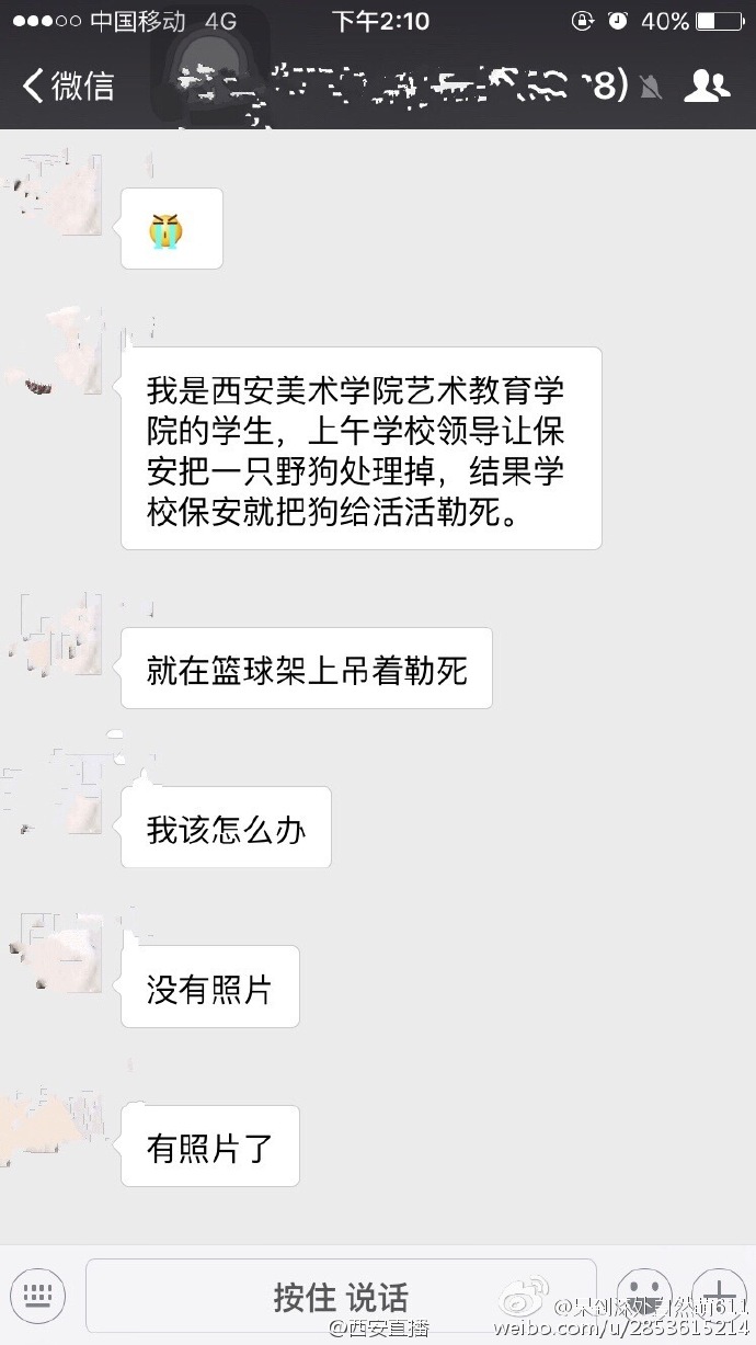 圖片來源：呆到深處自然萌611／微博