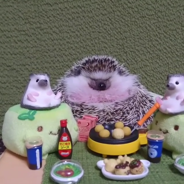 ​圖片來源：reborn0117／instagram