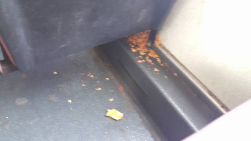 圖片來源：網民Flora Wong同意轉載