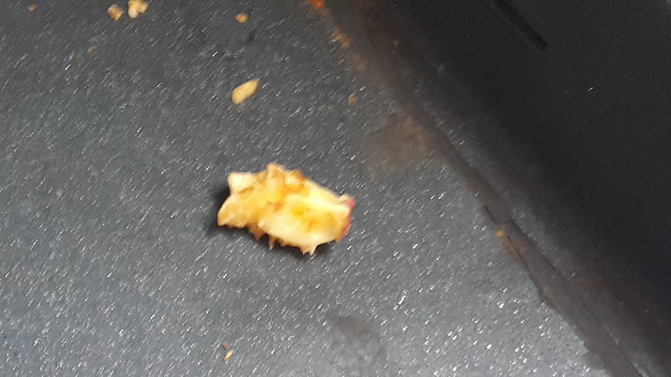 圖片來源：網民Flora Wong同意轉載