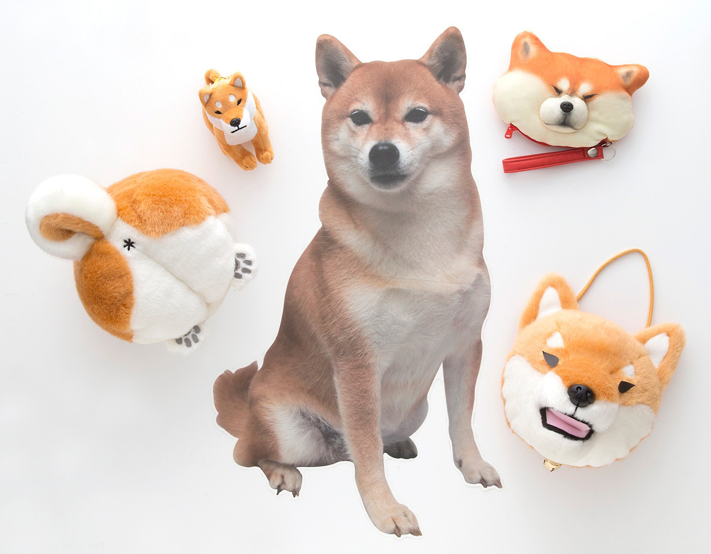 圖片來源：felissimo