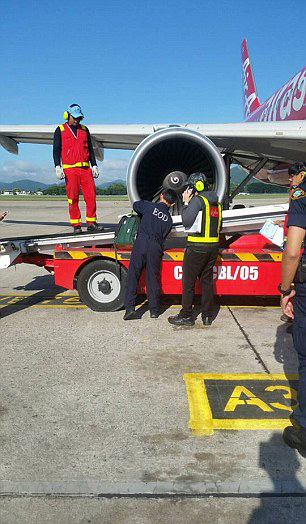 圖片來源：DailyMail