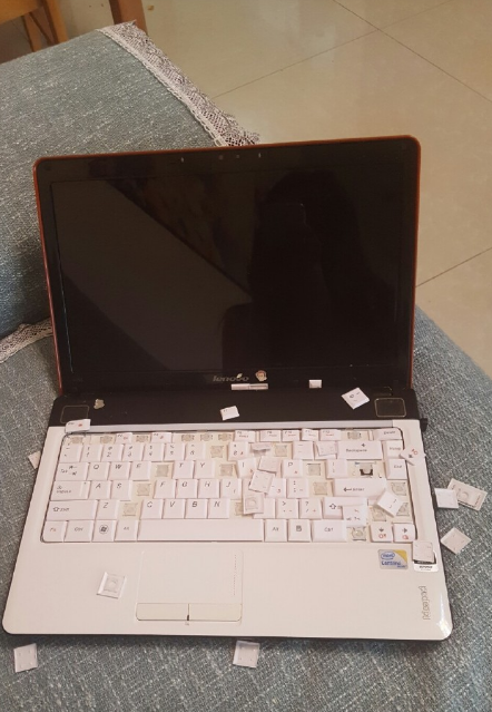 圖片來源：曉艷時／微博