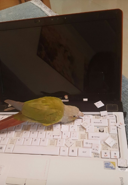 圖片來源：曉艷時／微博