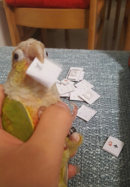 圖片來源：曉艷時／微博