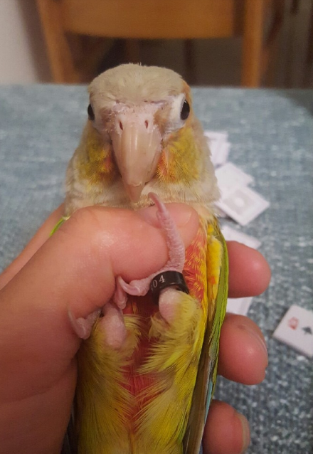 圖片來源：曉艷時／微博