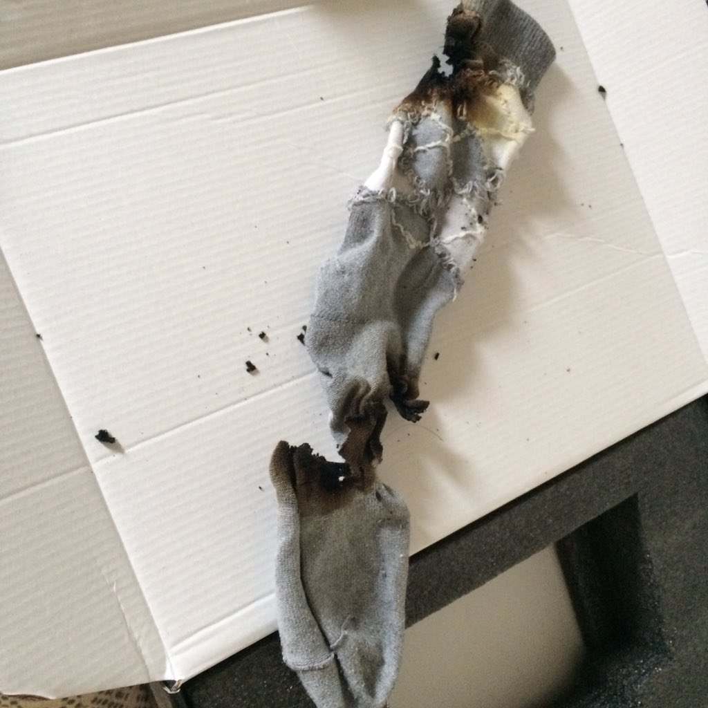 圖片來源：hama1219／twitter