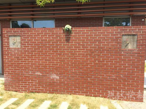 圖片來源：中國日報