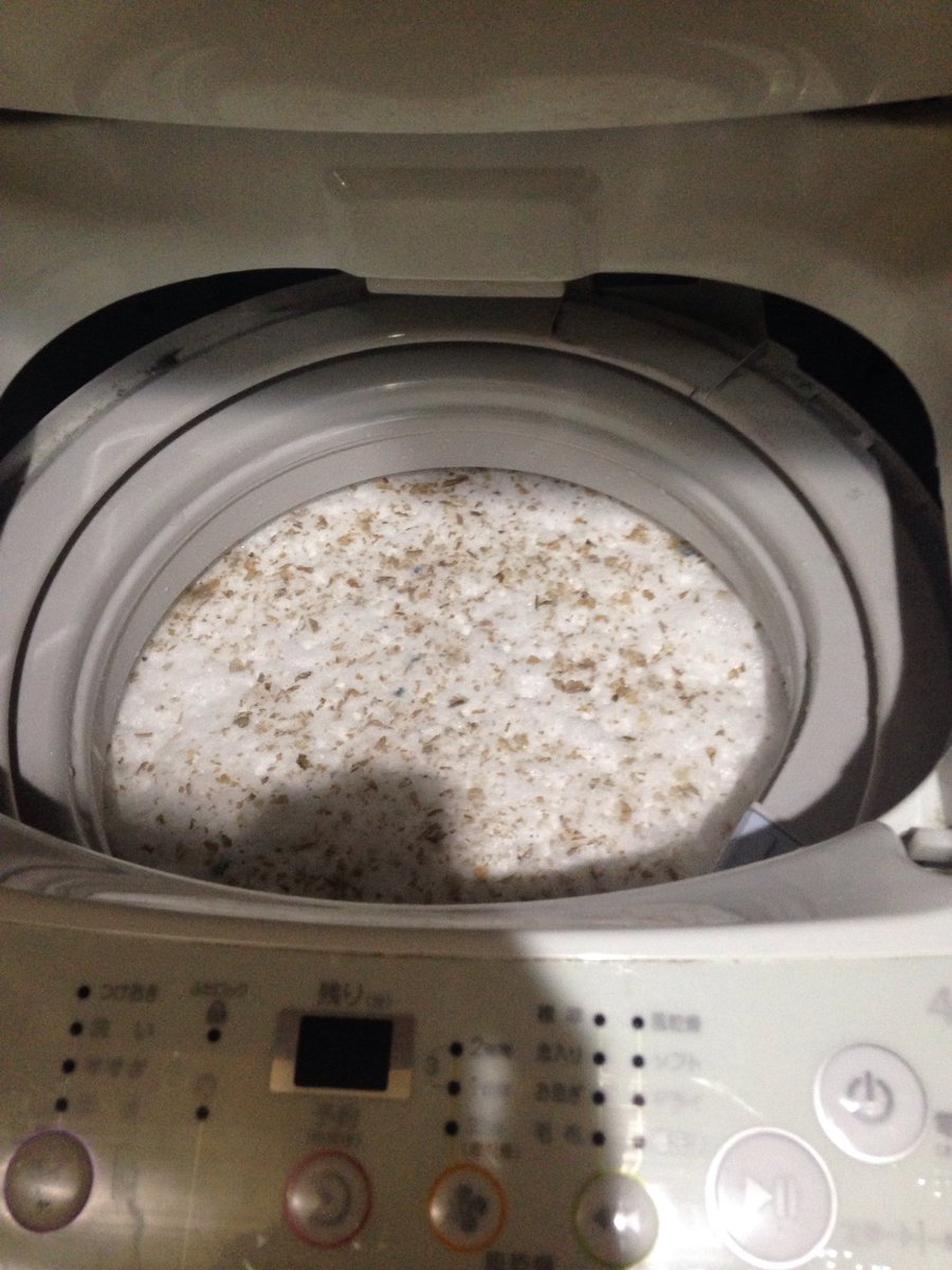 圖片來源：chi152cm／twitter