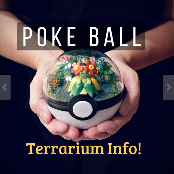 圖片來源：TheVintageRealm