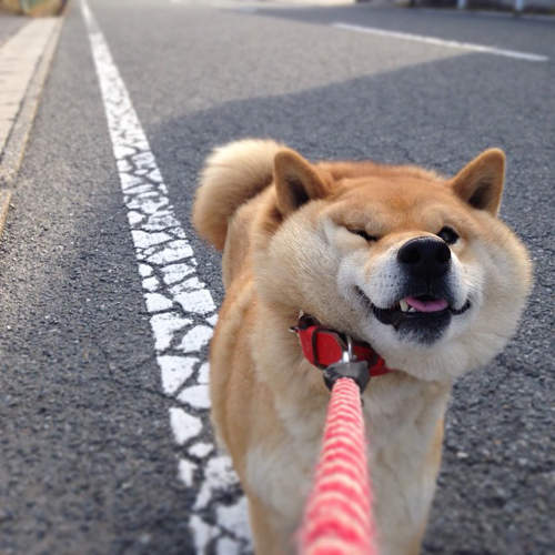 圖片來源:twitter