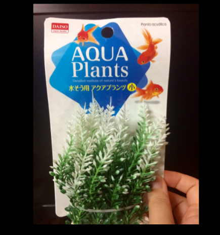 圖片來源：kyooochang／twitter