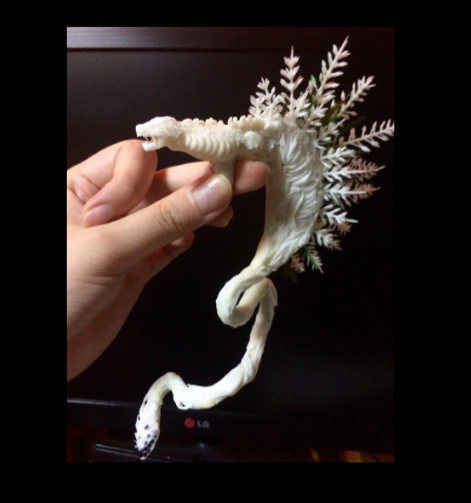 圖片來源：kyooochang／twitter