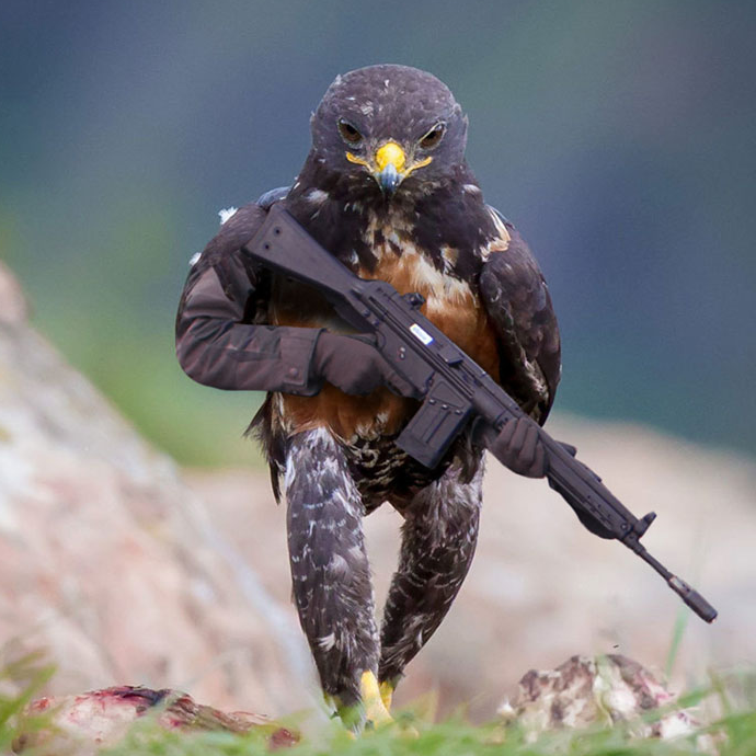 圖片來源：boredpanda