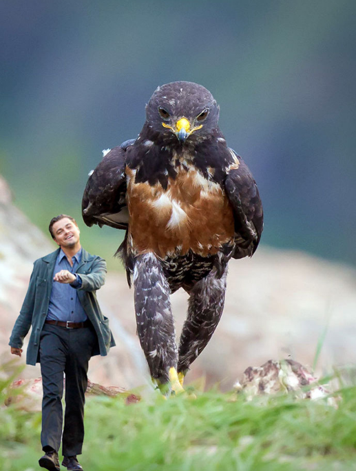 圖片來源：boredpanda