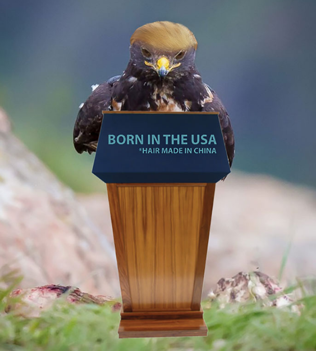 圖片來源：boredpanda