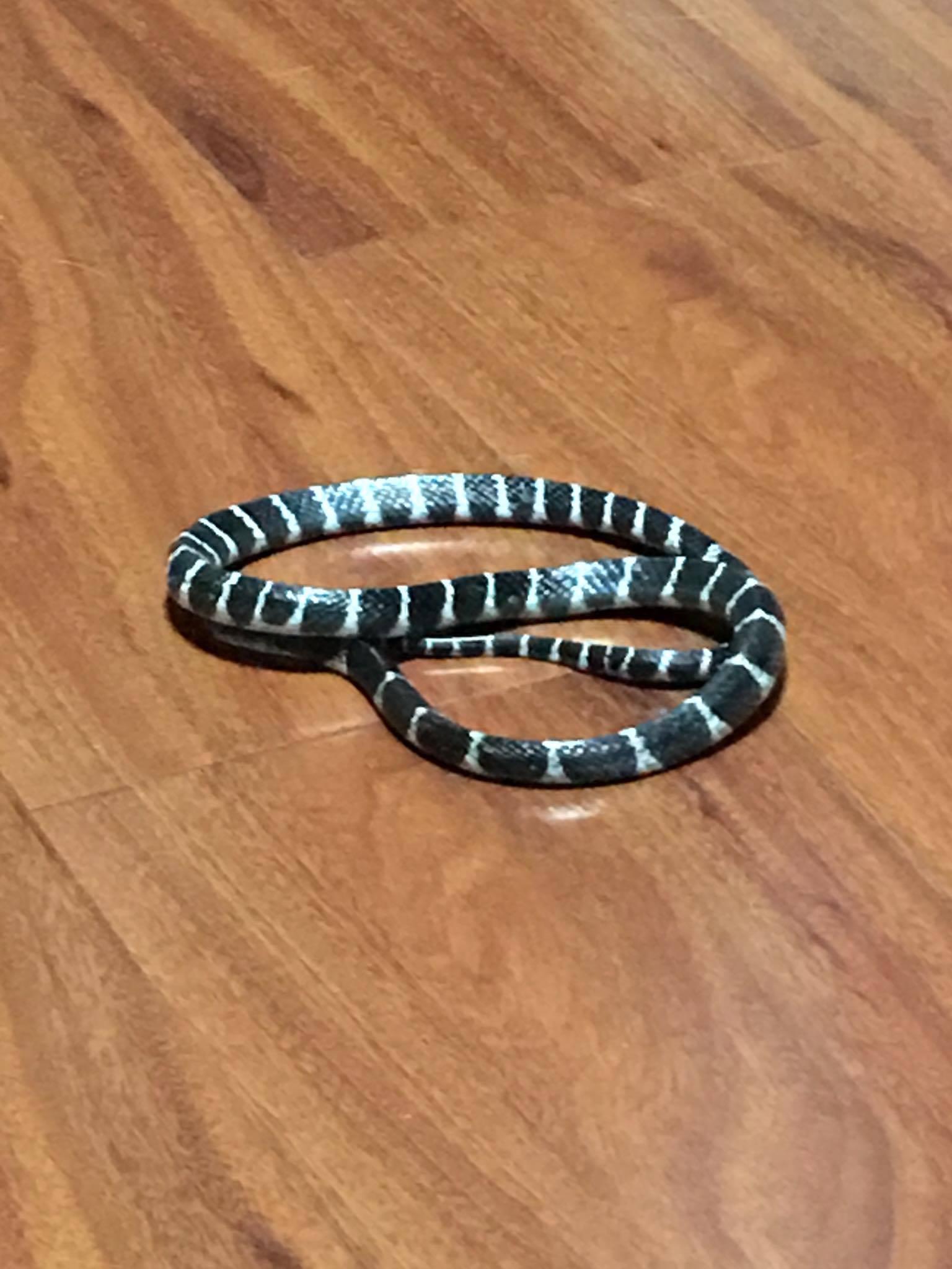 圖片來源：莊稼人／爆料公社