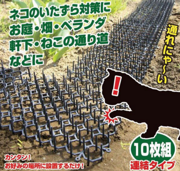 圖片來源:kilikduel/twitter