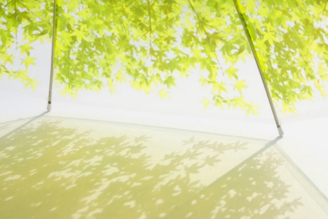 圖片來源：ArtsJpn／twitter