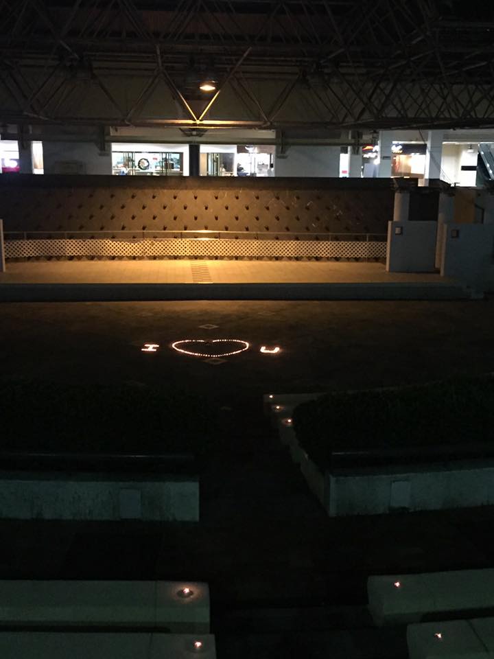 圖片來源：‎ShingShing Chan／馬鞍山之友