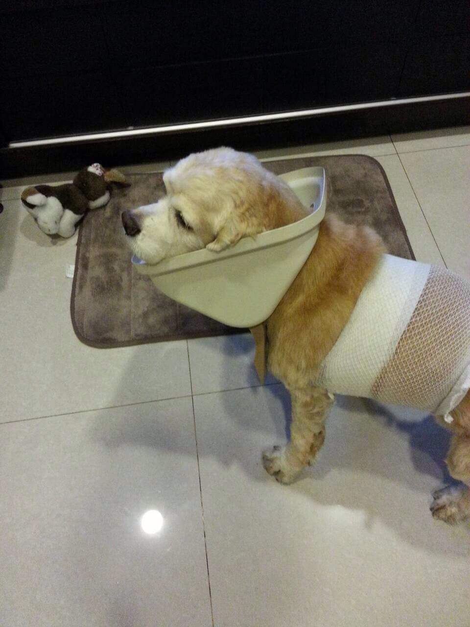 圖片來源：楊承㬢／爆廢公社