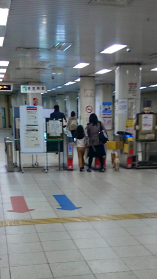 圖片來源：jun_rit314／twitter