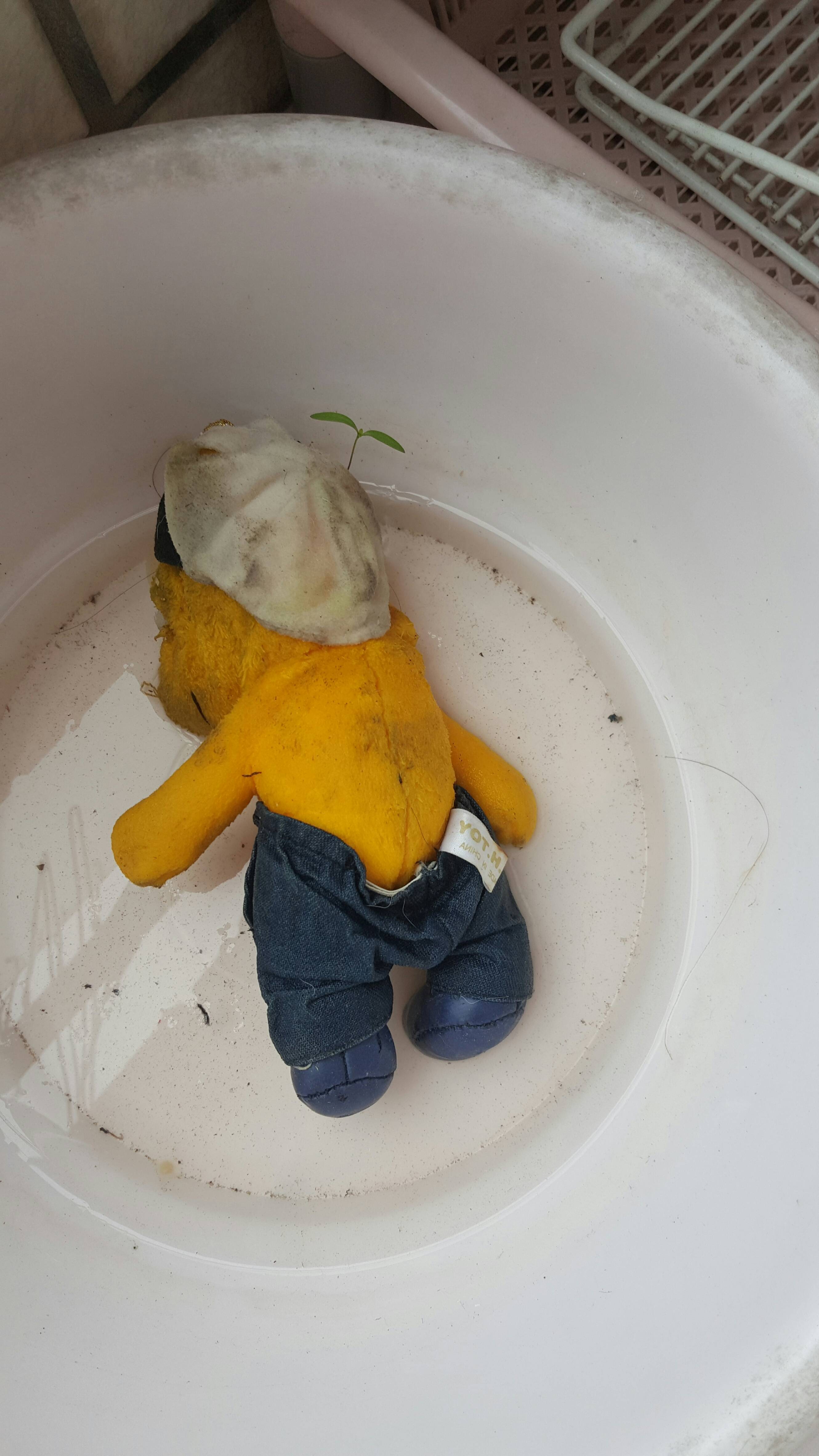 圖片來源：dcard