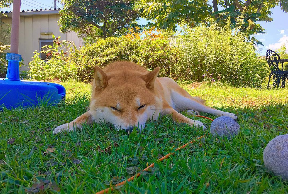 圖片來源:yu_ikaaa/instagram