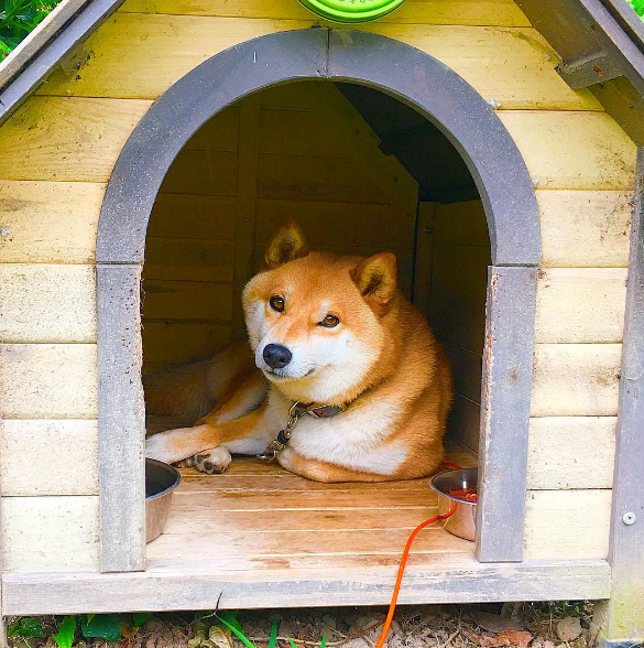 圖片來源:yu_ikaaa/instagram