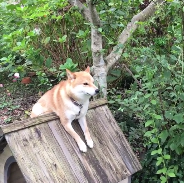 圖片來源:yu_ikaaa/instagram