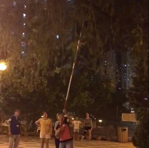 圖片來源:名校 Secrets