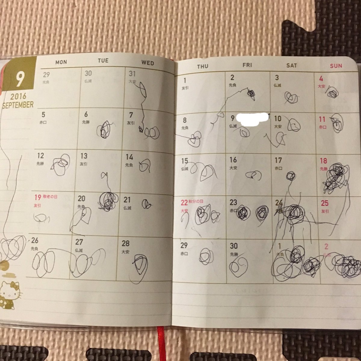 圖片來源: hiballdehoroyoi/twitter