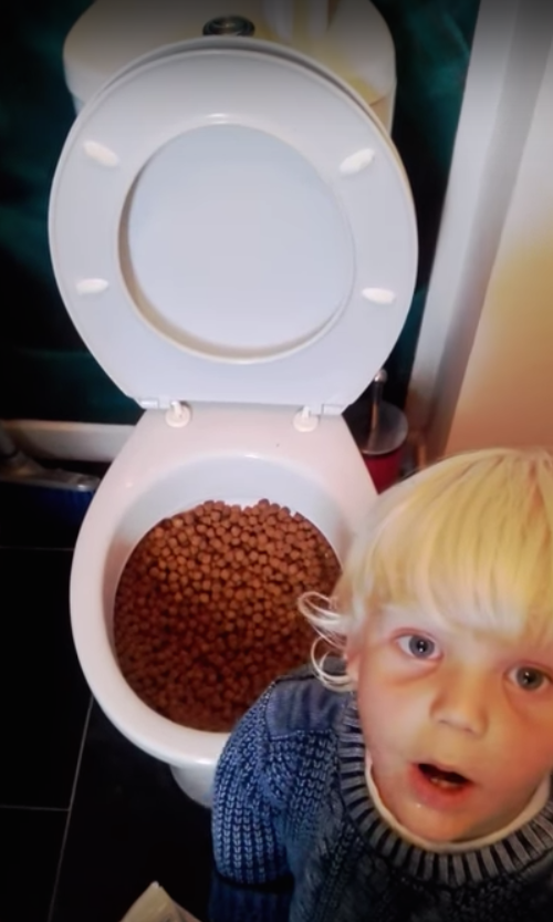 圖片來源:ring/YouTube