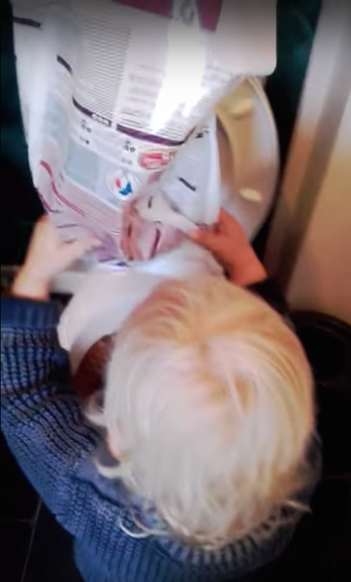 圖片來源:ring/YouTube