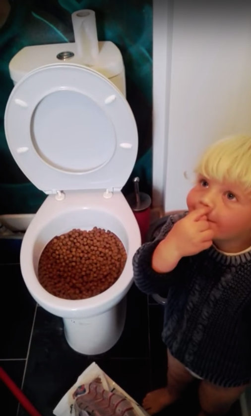 圖片來源:ring/YouTube