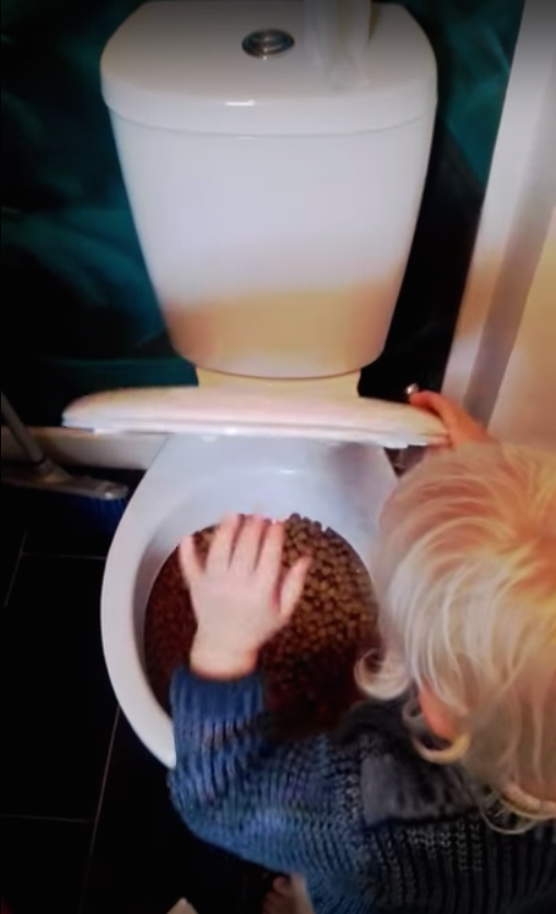 圖片來源:ring/YouTube