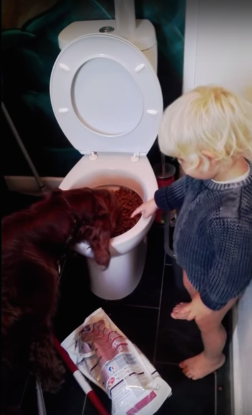 圖片來源:ring/YouTube