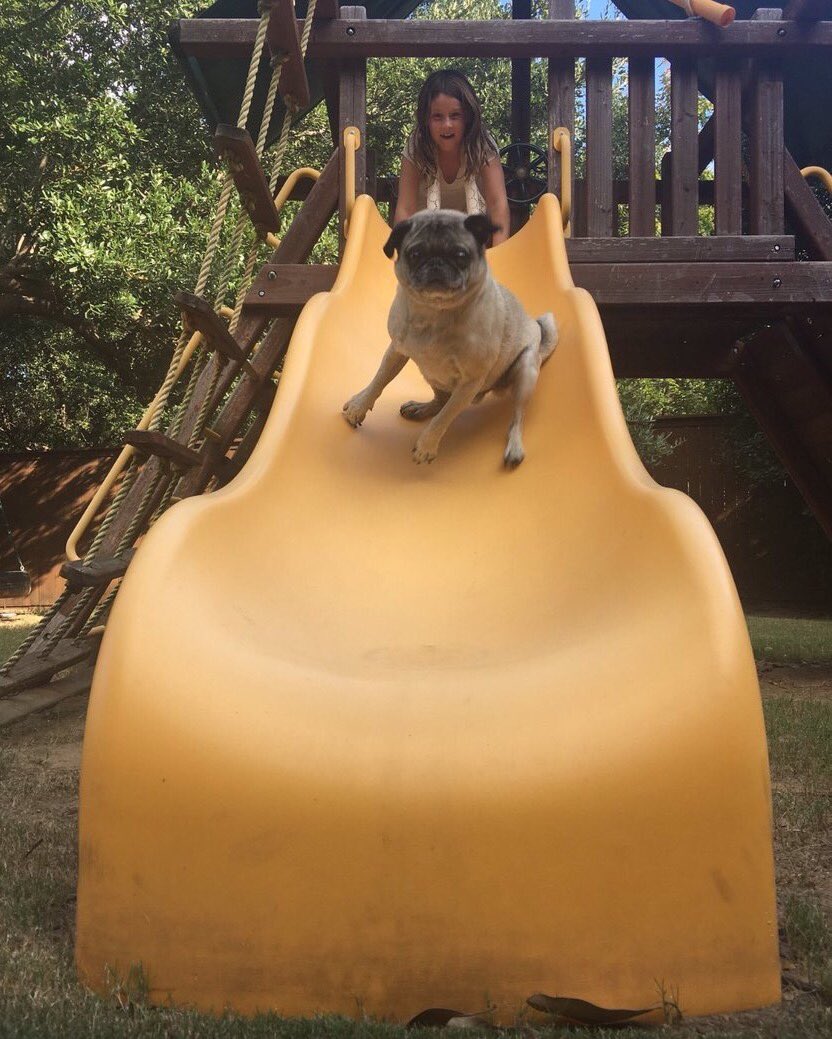 圖片來源:joker_budou/twitter