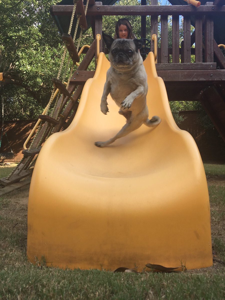 圖片來源:joker_budou/twitter