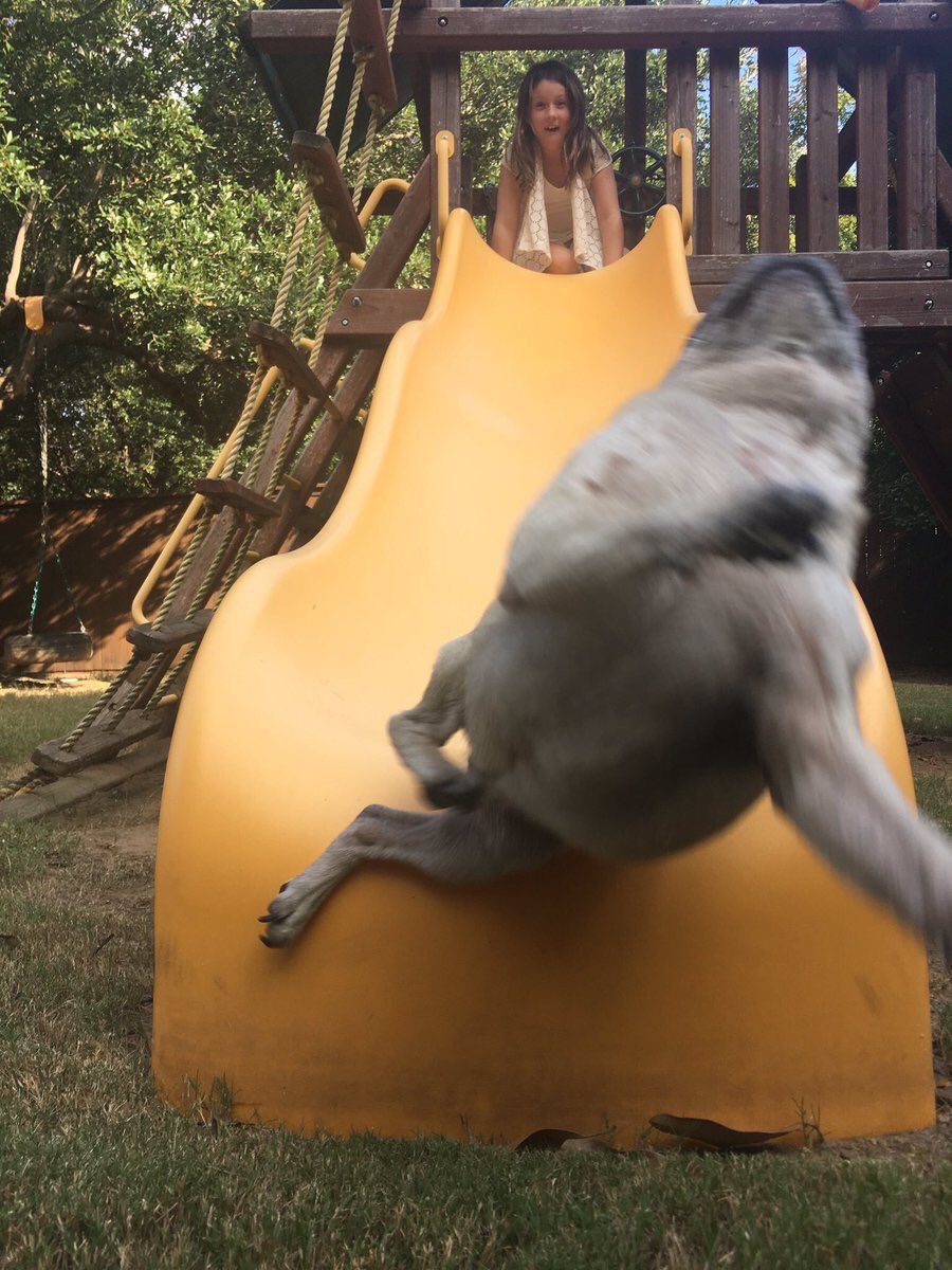 圖片來源:joker_budou/twitter