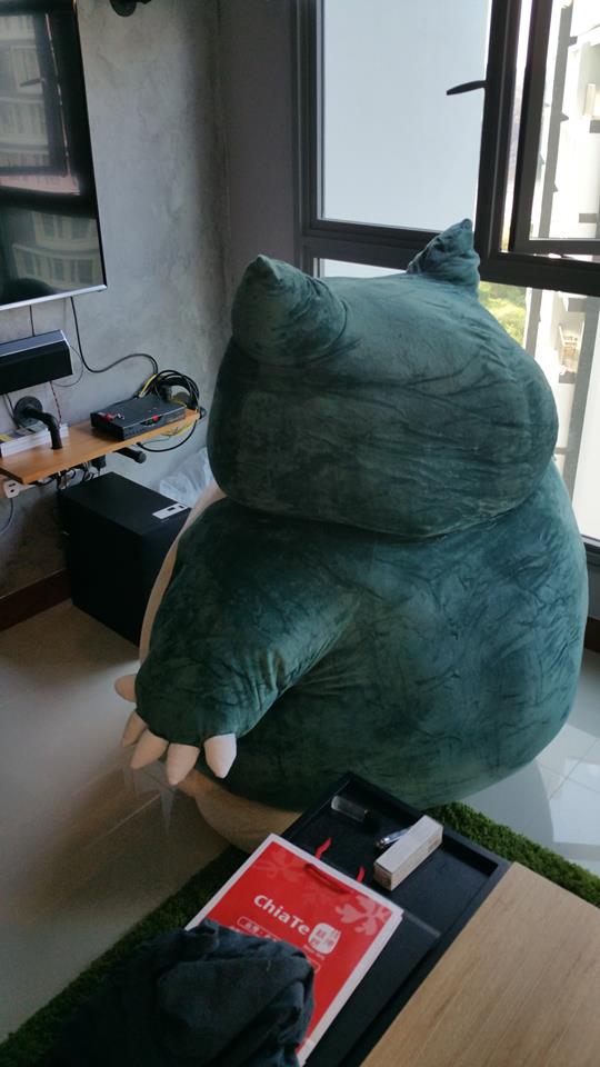 圖片來源： Sern Tay／Pokémon GO Punggol