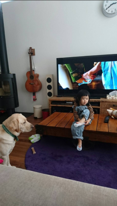 圖片來源:shinobineeenaaa/twitter