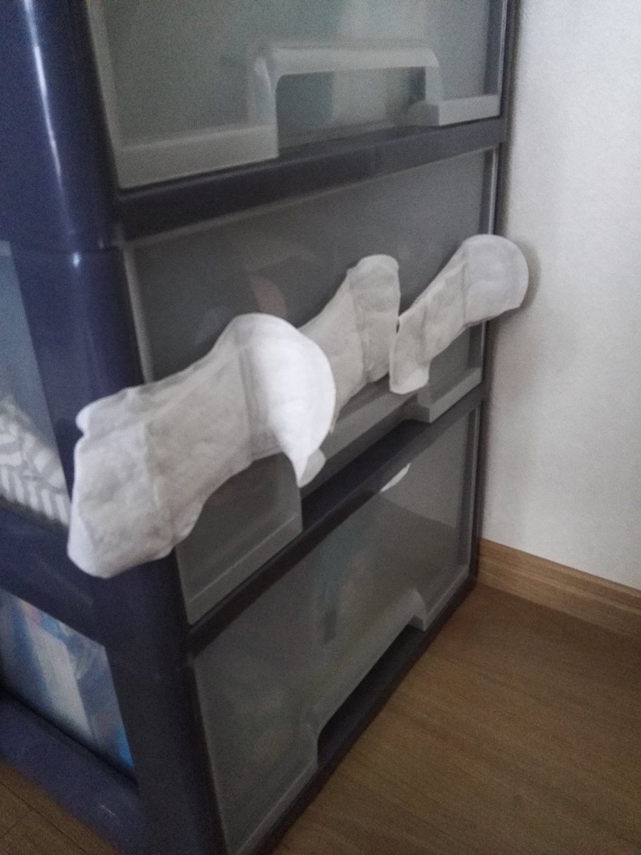 圖片來源:mshuchil03/twitter