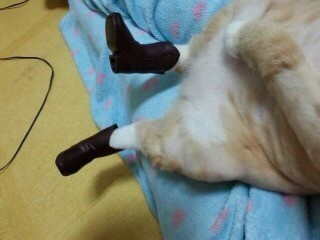 圖片來源：IMGMD／NAVER BBOOM