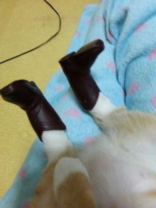 圖片來源：IMGMD／NAVER BBOOM